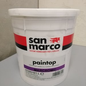 Paintop 